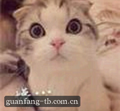 赵雅